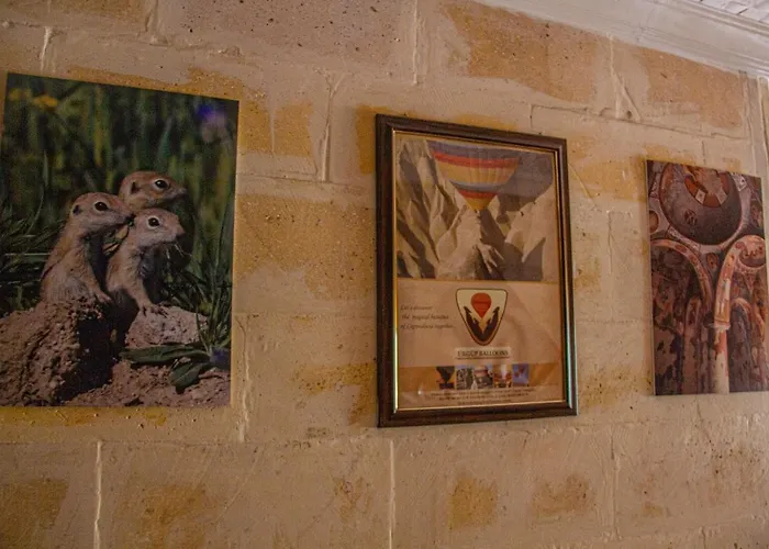 Cappadocia House ゲストハウス